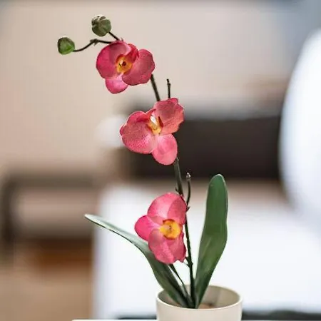 Feel Greek Hospitality #θ003 Tessalónica