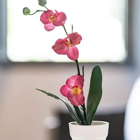 Feel Greek Hospitality #θ003 Apartamento *