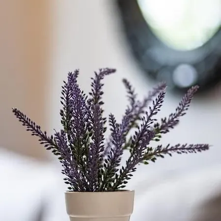 Feel Greek Hospitality #θ003 Apartamento